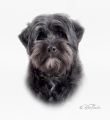 Greta