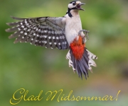 Glad midsommar!