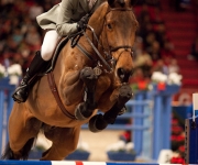 Horse show Globen