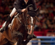 Horse show Globen