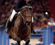 Horse show Globen