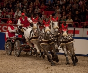 Horse show Globen