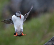 Landningsställen nere