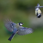 Nu måste jag hålla mig undan