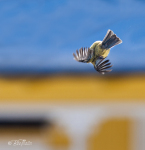 Houston we've got problem