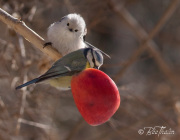 Är det min tur snart