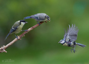 Hallå var är du på väg