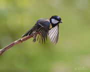 Takeoff