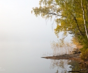 Dimma över Storsjön 4