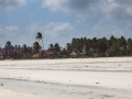 vit strand Zanzibar