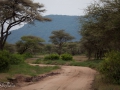 Lake Manyara, Tanzania