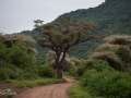 Lake Manyara, Tanzania