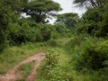 Lake Manyara, Tanzania
