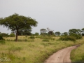 Lake Manyara, Tanzania