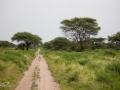 Lake Manyara, Tanzania