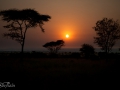 solnedgång i Serengeti, Tanzania