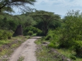 Lake Manyara, Tanzania
