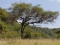 Lake Manyara, Tanzania