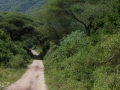 Lake Manyara, Tanzania