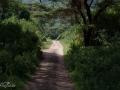 Lake Manyara, Tanzania