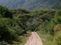 Lake Manyara, Tanzania