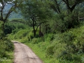Lake Manyara, Tanzania