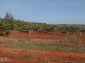 Tanzania