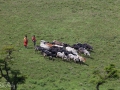 getfarmare, tanzania
