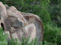Tältlodge, Pioneer, Serentegi, Tanzania