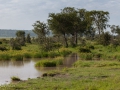 Ngorongorokratern, tanzania