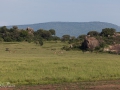 Serengeti