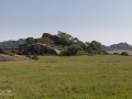 Serengeti