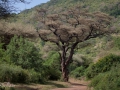 Lake Manyara, tanzania