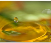 En droppe i gula havet