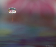 besokareFranPlanetenFantasia