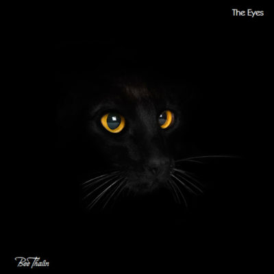 The Eyes, black cat