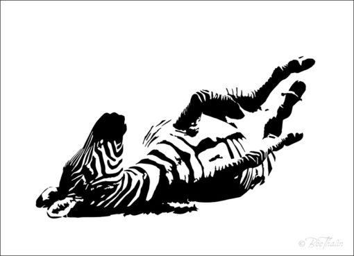 Tavlor - art - zebra rullar