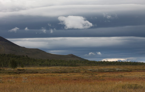 Tavlor - natur - Höst på fjället 1