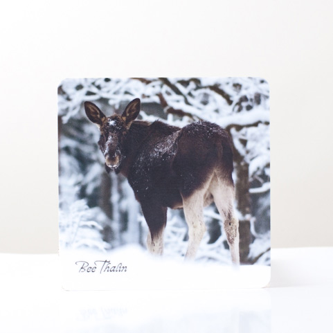 Glasunderlägg - The Elk